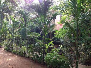 Pallava Dynasty Hotel Mahabalipuram Exterior foto